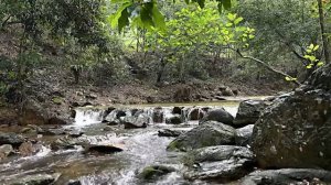 Кемпинг в палатке у реки. Ужин на природе и отдых. Бушкрафт