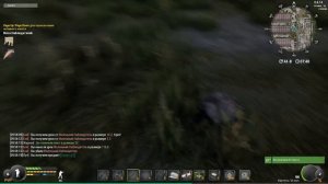 Пробежка на АТП и сбоор крапивы для сюрприза ворам.