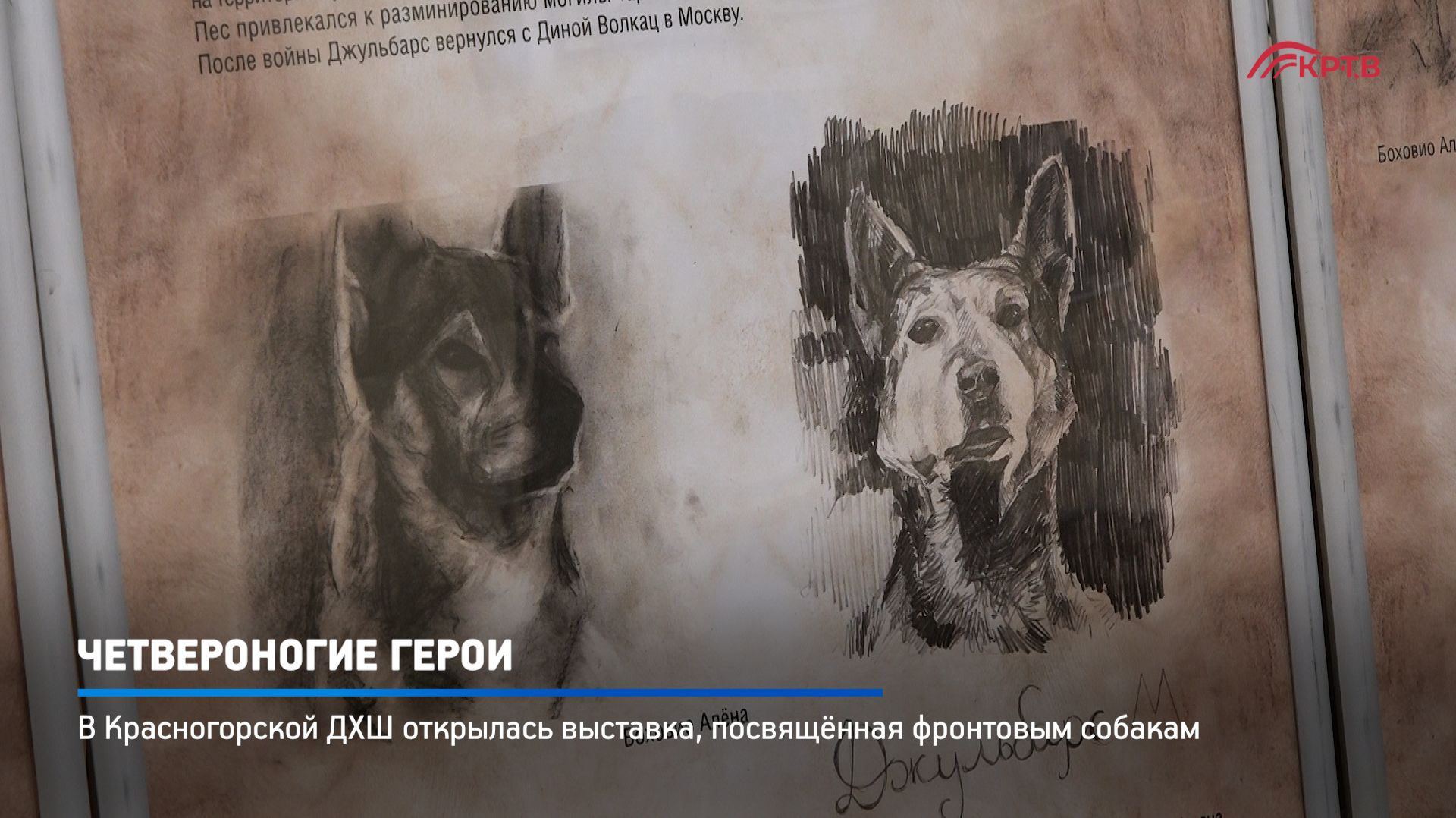 КРТВ. Четвероногие герои смотреть онлайн