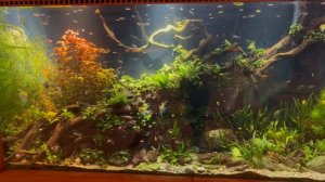 Для Баланса и настроения