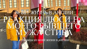 Реакция чихуахуа Люси и Лилли на моего бывшего мужа Стива. № 881 Жизнь в Англии