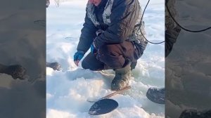 МОРОЗ  И СОЛНЦЕ И ПОУШИ В СЧАСТЬЕ❗️