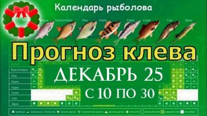 Календарь клева рыбы на ДЕКАБРЬ 2025