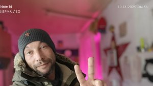 В лесу не родилась ёлочка, но есть все праздники на сегодня 10 декабря