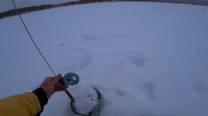 Сколько здесь щуки? 🎣 В этом болоте ловля щуки на жерлицы зимой! 🥶