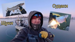 ЛЁД ТРЕЩИТ! РЫБА ПРЁТ! ПОИСК ХИЩНИКА ЗИМОЙ!