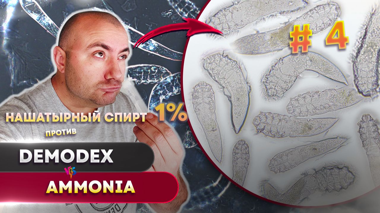 Убивает ли 1% нашатырь клещей Демодекс Жёсткий эксперимент под микроскопом! #4 смотреть онлайн