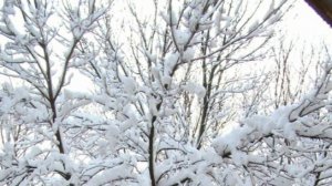 К  НАМ ИДЁТ НОВЫЙ ГОД