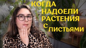 25 РАСТЕНИЙ, которые МОГУТ УДИВИТЬ |  обзор САМЫХ СТРАННЫХ растений из моей коллекции🪴