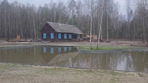 Жизнь на Усадьбе в Лесу , День за Днём