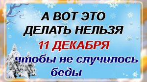 11 декабря - Сойкин день. Что можно и что нельзя делать? Приметы дня.
