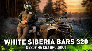 WHITE SIBERIA BARS 320 | Обзор бензинового  квадроцикла