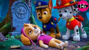 Щенячий патруль и Маршалл. Залипательное видео. Мультфильм для детей и малышей. Анимация