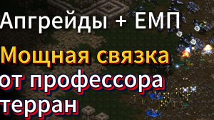 Аист против Гадюки. Мощь терранских апгрейдов и сокрушительные атаки протосса - Старкрафт Ремастеред