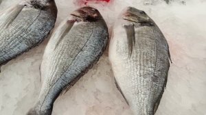 #много разной рыбки# МММ сколько  ее и разной