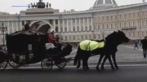 Дворцовая площадь Санкт-Петербург