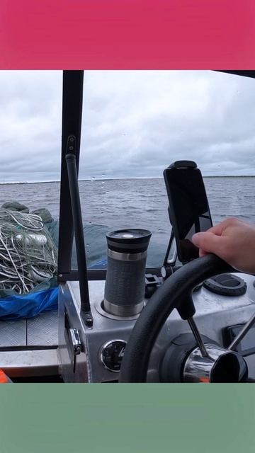 О каком Браконьерстве идёт речь