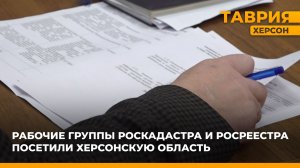 Рабочие группы Роскадастра и Росреестра посетили Херсонскую область