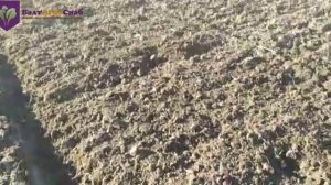 Борона МИКС-8 в работе