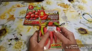 Эти томаты я выбрала для открытого грунта.