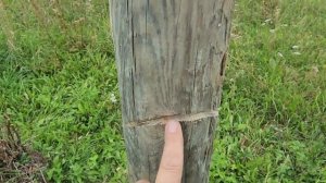 #313 The Ultimate Portable BBQ Grill 09.09.2025