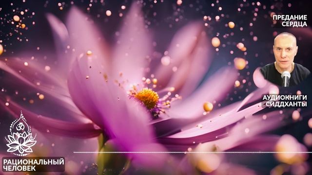 Рациональный человек. Предание сердца. Аудиокниги Сиддханты (Вячеслава Чернина)
