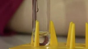 Химия 9. Практическая работа №4 Взаимодействие водного раствора NH3 с AlCl3