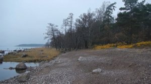 Финский залив от Томминккониеми до Кюрённиеми / Переиздание 📌👇