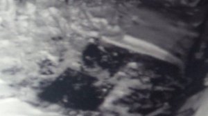 Зима началась вчера  и добавила проблему со снегом.. Надо подумать о животных  ПОДПИШИСЬ