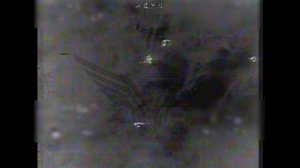 Живая сила противника. FPV-дроны «Рубикона» рвут на куски боевиков ВСУ