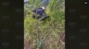 Подборка приколов , смешное видео.