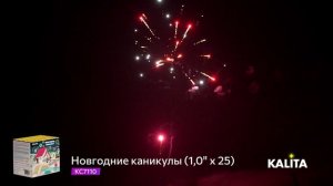 Салют "Новогодние каникулы" 1.0"х25, арт. КС7110