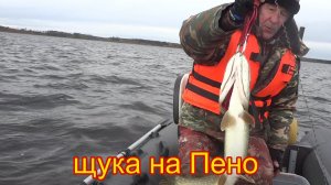 Щука на озере Пено в октябре .