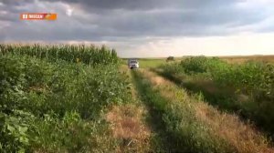 LIVE: «Сейм» | Курская область