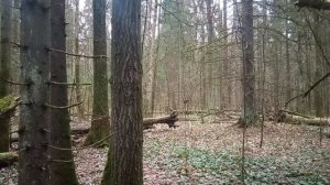 Как ориентироваться в походе