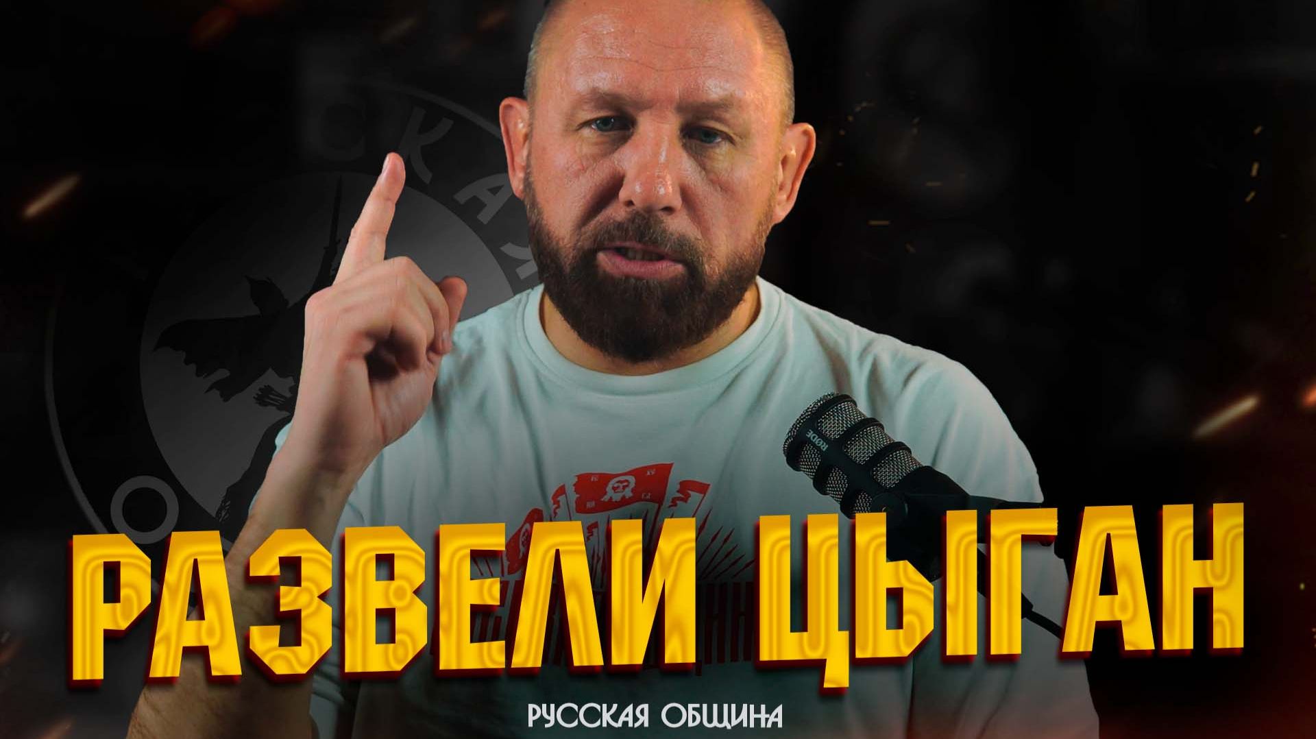 РУССКАЯ ОБЩИНА: Развели цыган! #россия #важное #русскаяобщина #новости