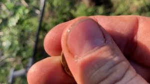 Продолжаем исследовать древний поселок и жарим барашку 🐏🔥 #топ #тренды #коп #шашлык #интересно