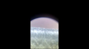 Микроскоп для заточки..... Для чего нужен. Заточка немецкой бритвы.Тест.