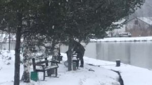 поимка на спиннинг