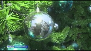 Мошенники особенно активизируются в новогодние праздники: будьте осторожный