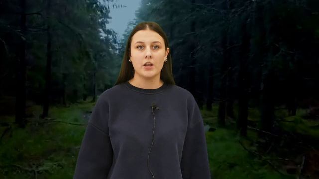 ЛФ11: Штекляин Регина (9к). "If" by Rudyard Kipling