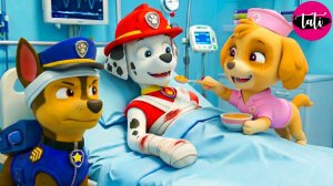 Щенячий патруль и Маршалл. Залипательное видео. Мультфильм для детей и малышей. Анимация