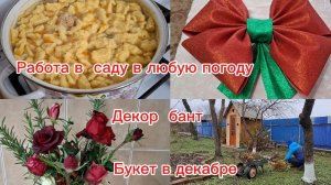 10-12-2025 Переезд из Сибири на юг/Живём и наслаждаемся/Домашние хлопоты/Декор новогодний/Сад/