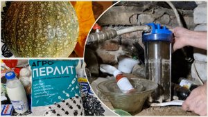 Взяла семян от вкусной и красивой. ЗАМЕНА ФИЛЬТРА ОЧИСТКИ ВОДЫ. Дешевый перлит и прочие покупки