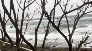 ОДЕССА 10 ДЕКАБРЯ 2025. РАСПОЗНАНИЕ ЛИЦ КАМЕРАМИ В МАШИНАХ ОТ ТЦК. КОЛОМОЙСКОГО ОТРАВИЛИ_! ПЁС-ДОМА!