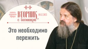 Бог даёт каждому персональное задание. Вторник с батюшкой. Беседа с от. Андреем Лемешонком 9.12.25