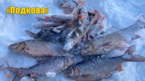 Зимняя рыбалка со льда на красивой старице. Ловля сороги со льда. Зимняя рыбалка 2020..