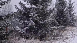 Показываю Вам свое наследство.. которое досталось от брата...