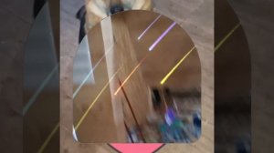 1000042002.mp4 (Собака смотрит на монтаж электропроводки (отверстия под м/коробки) в доме А-фрейм)