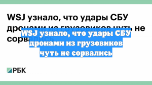 WSJ: удары дронами СБУ чуть не сорвались из-за подозрительности водителя